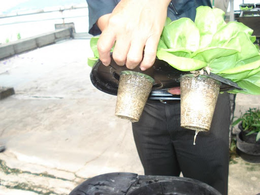 riciclare-bicchieri-plastica-natura