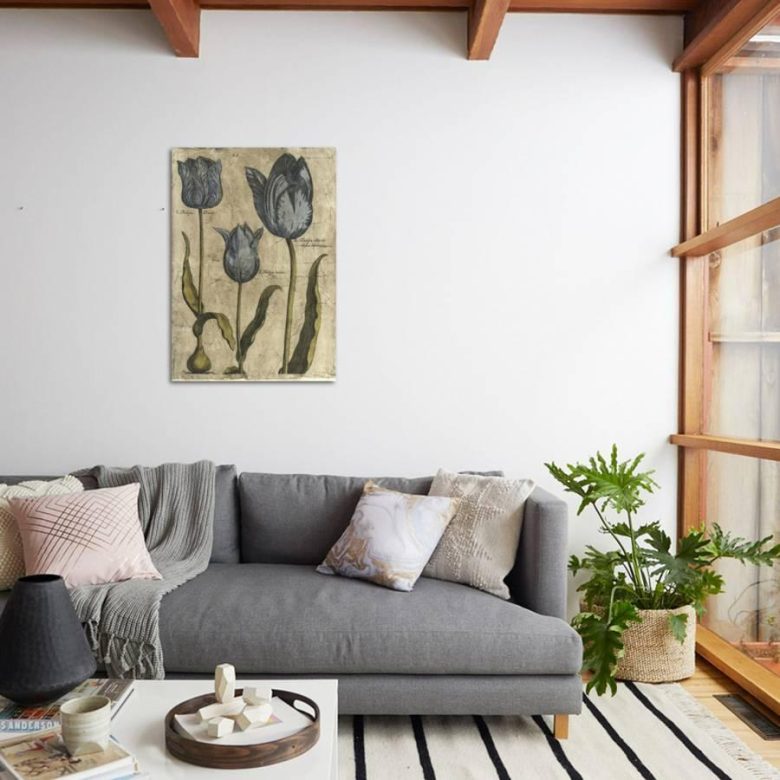 abbellire-casa-piante-botaniche-10