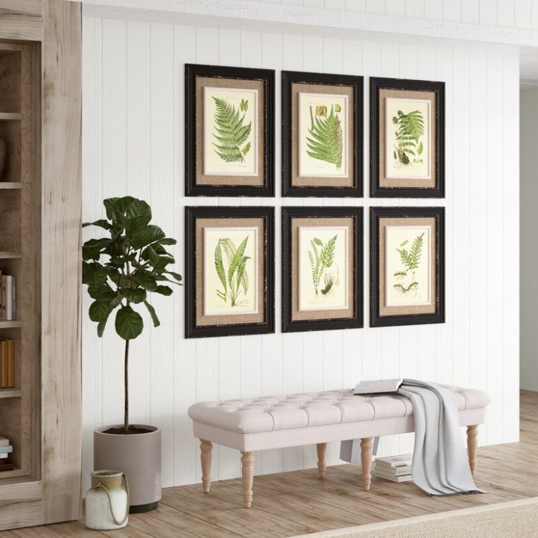 abbellire-casa-piante-botaniche-2