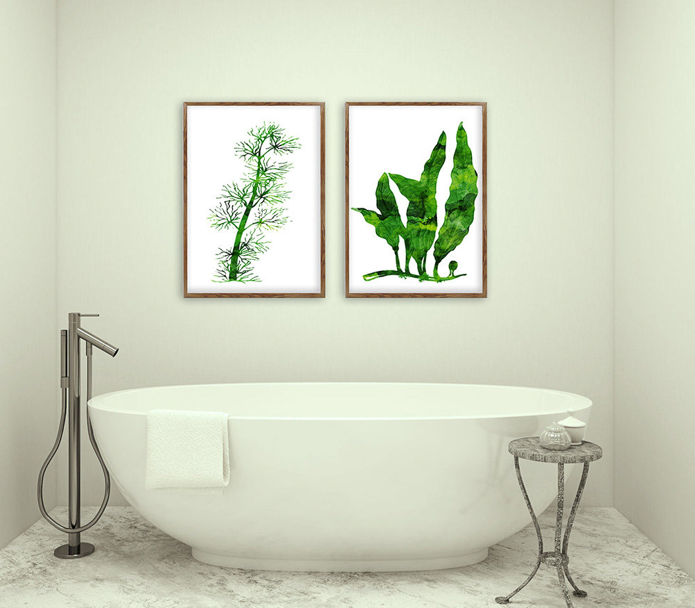 abbellire-casa-piante-botaniche-bagno