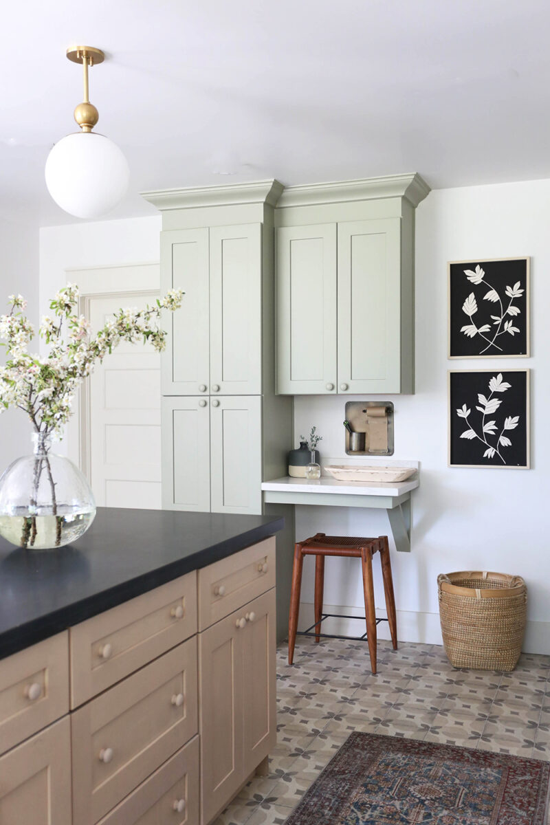 abbellire-casa-piante-botaniche-cucina