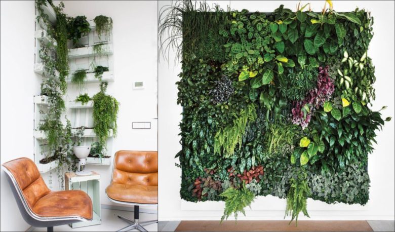come-dividere-salone-doppio-giardino2