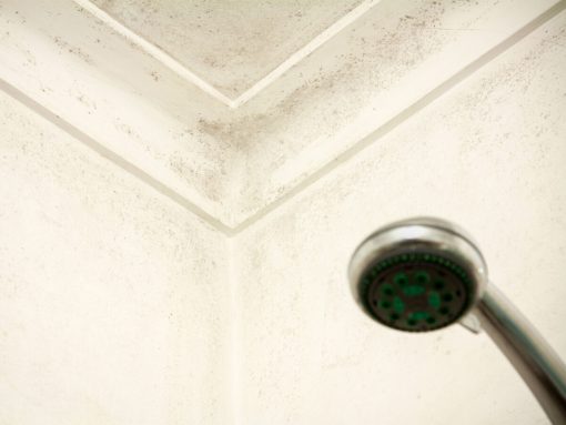 Come togliere l’umidità in bagno: consigli utili