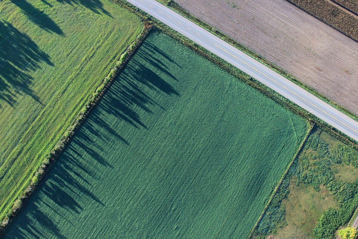 Usucapione: ecco le azioni interruttive adottabili dai proprietari di fondi