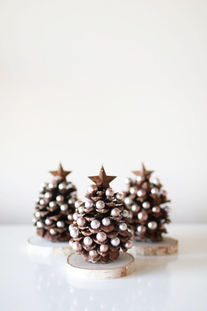 decorazioni-natalizie-con-pigne-6
