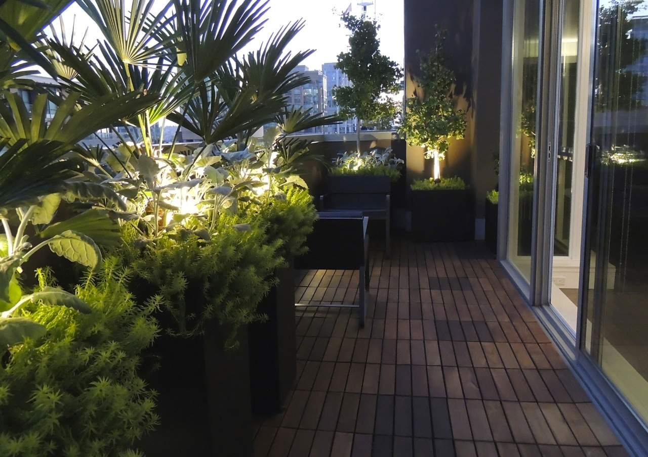 abbellire-balcone-capodanno-piante