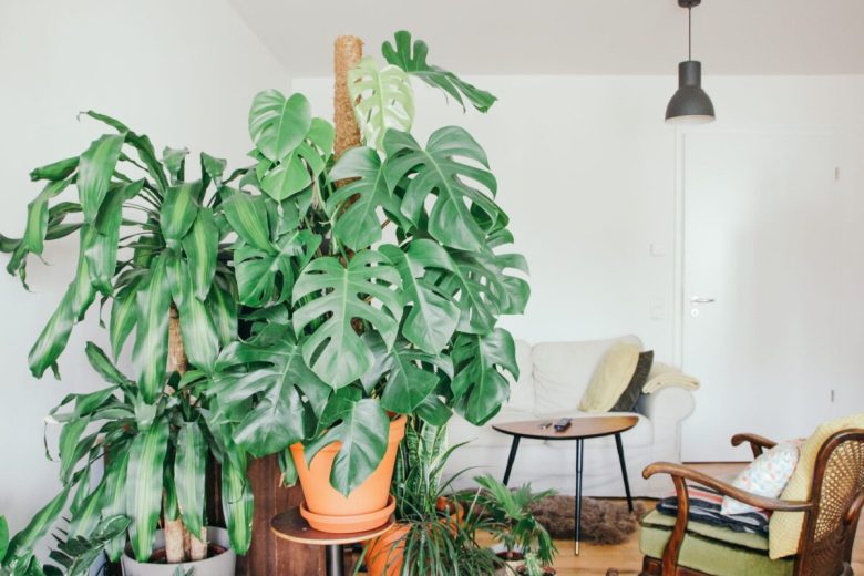 come-arredare-un-angolo-della-sala-2