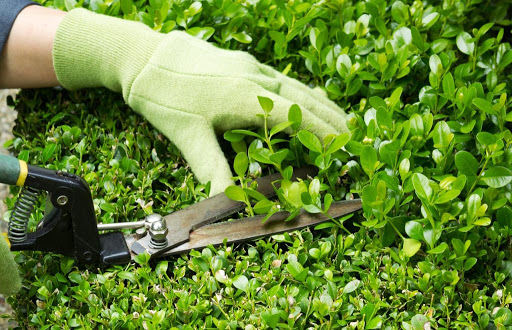 lavori-manutenzione-giardino-condominiale