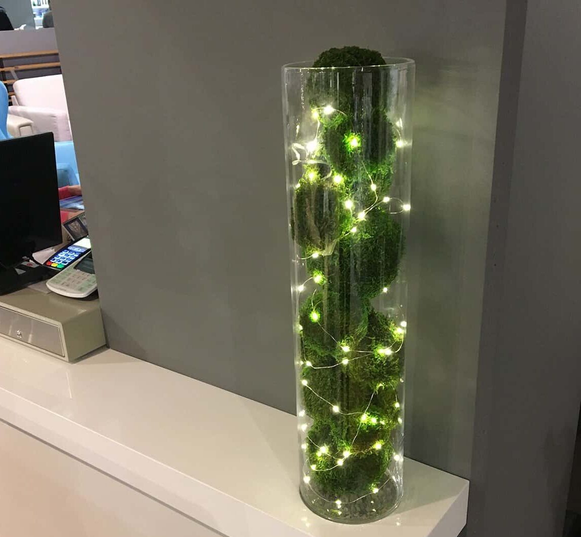 Piante stabilizzate: per arredare la casa con il verde