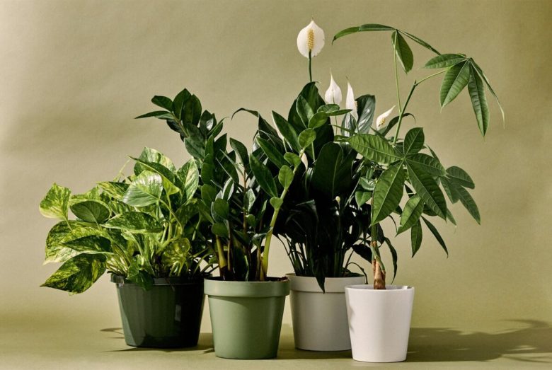 come-sfruttare-gli-angoli-bassi-della-mansarda-20