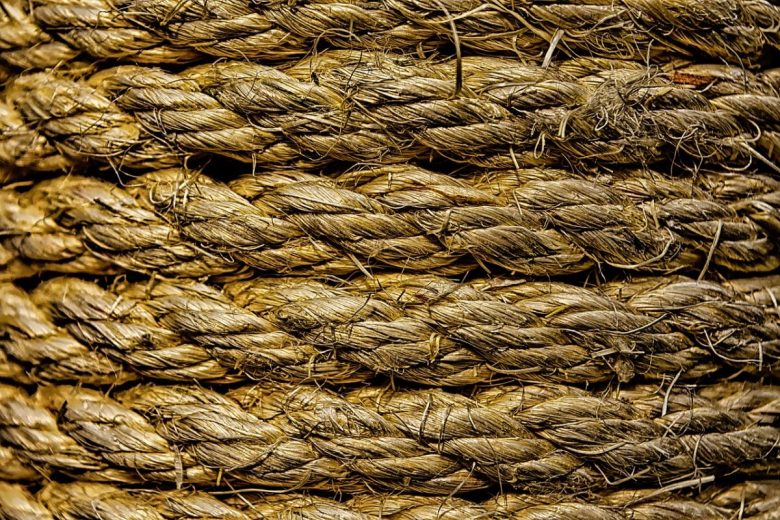 Sisal