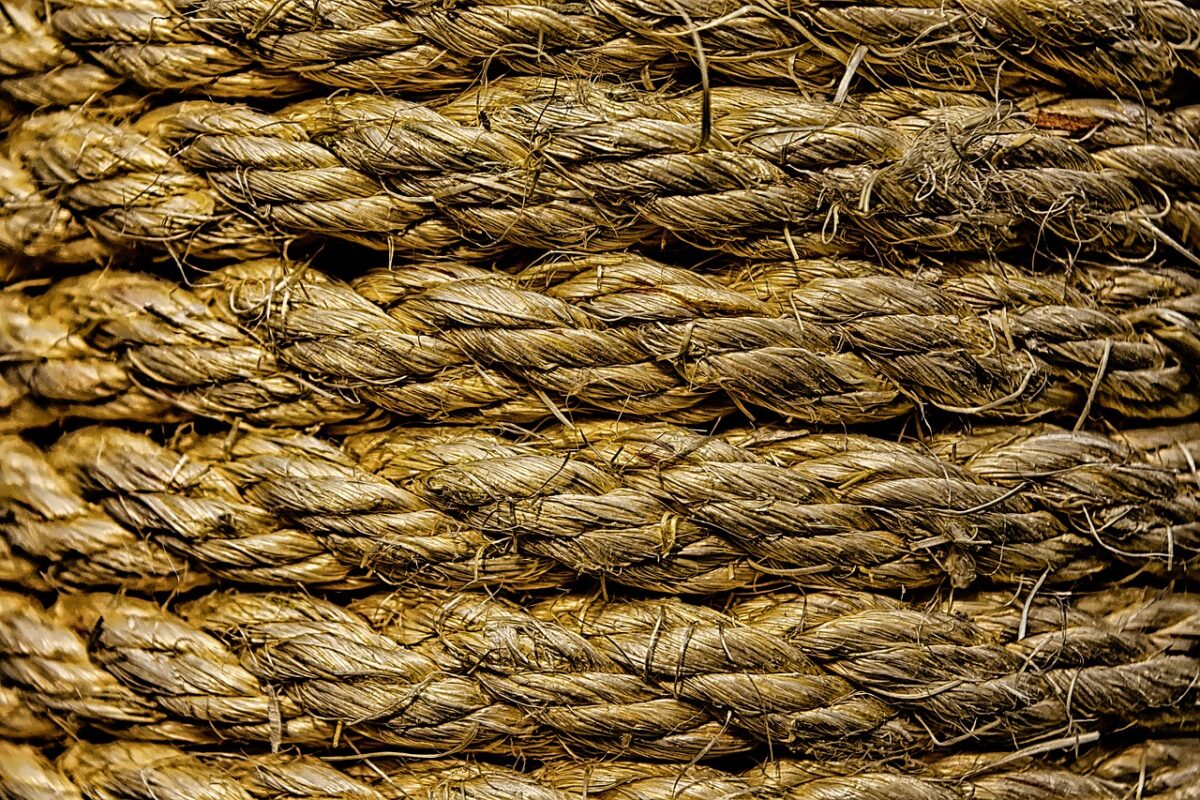 Sisal