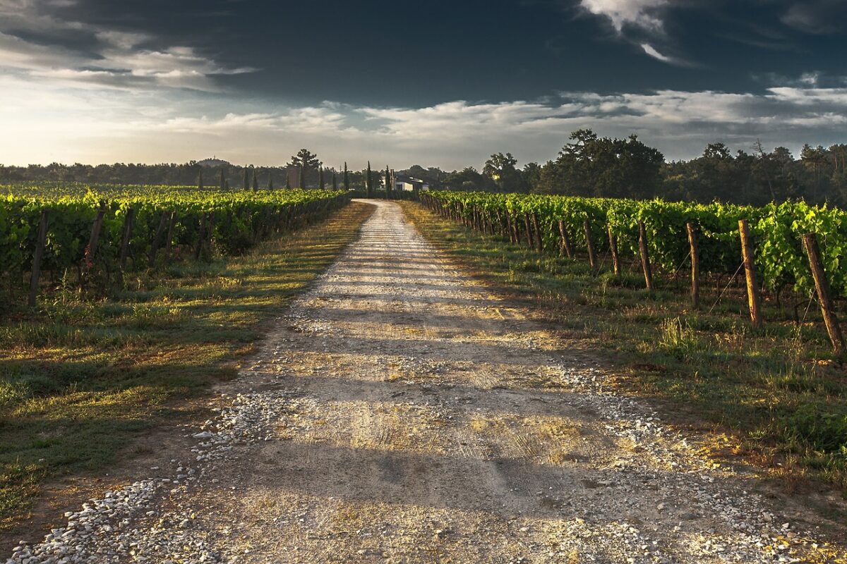 Campo, Agricolo