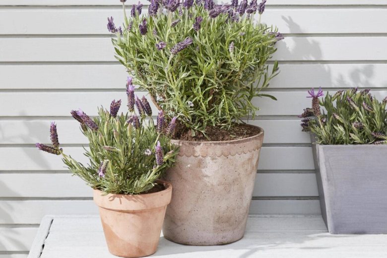 come-togliere-le-ragnatele-sul-balcone-21