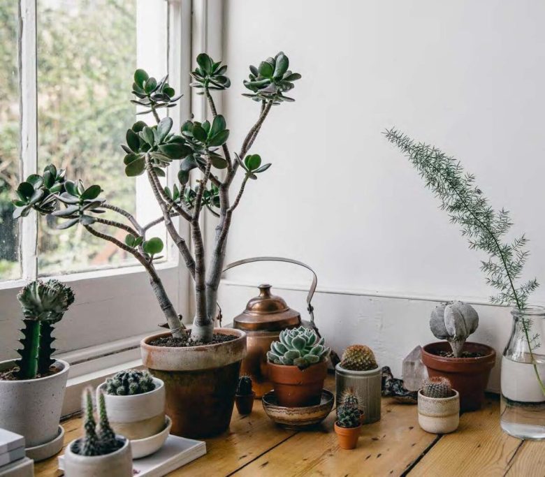 stile-tropical-10-cose-che-non-possono-mancare-16