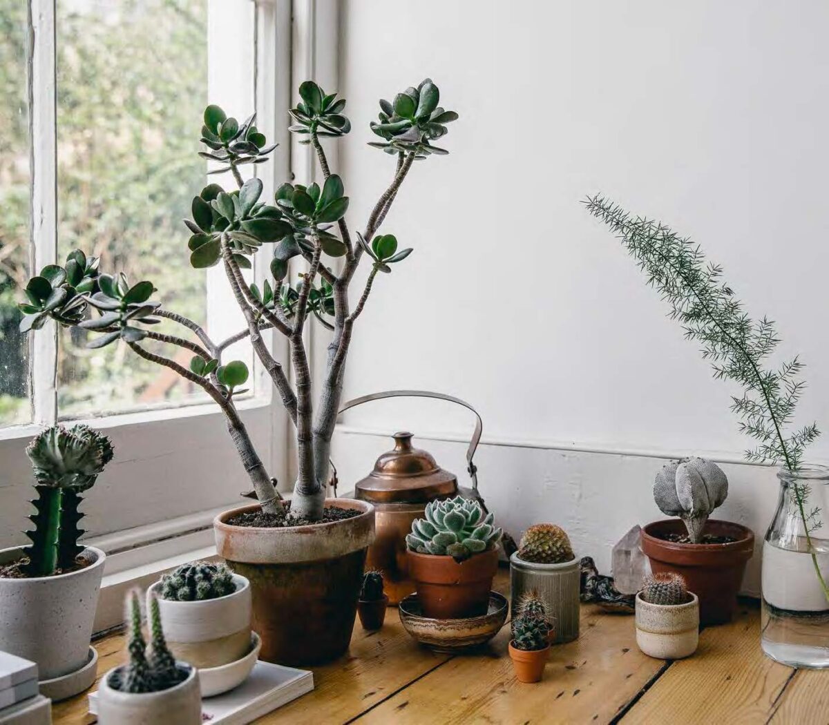 stile-tropical-10-cose-che-non-possono-mancare-16