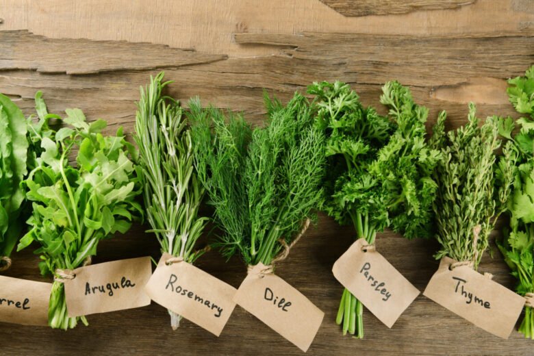 Different fresh herbs on wooden background