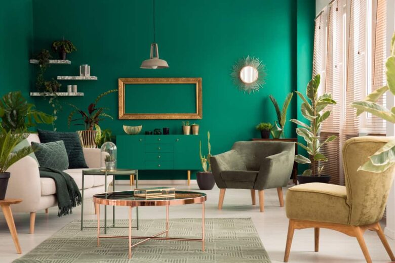 Abbellire casa con il verde Abbellire casa con il verde