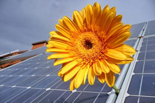 Persiane fotovoltaiche: cosa sono, come funzionano, vantaggi, prezzi