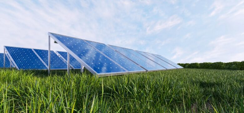 Agrovoltaico: cos’è, vantaggi, costi, incentivi