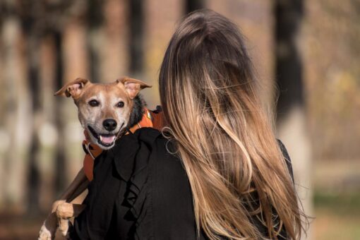 Si può adibire il giardino condominiale ad area per cani?