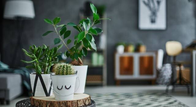 Abbellire casa con meno di 50 Euro