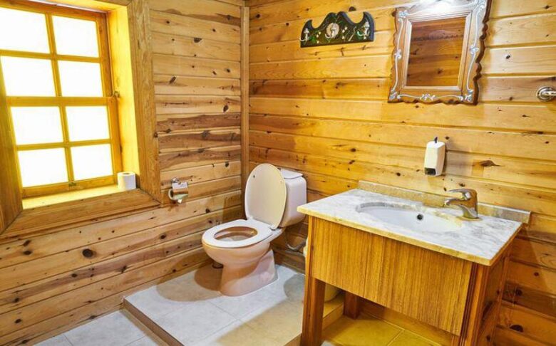 bathroom-4787940__480 (1)