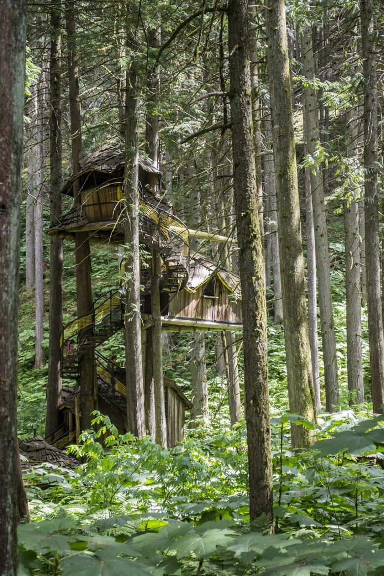 Gaia e Tecla: scopri cos’è possibile fare con materiali di scarto Gaia e Tecla: scopri cos’è possibile fare con materiali di scarto