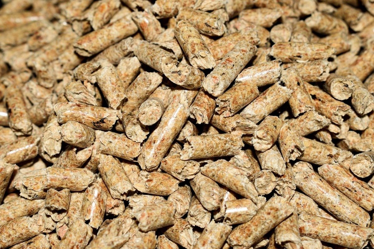 Bonus pellet: tutto sul nuovo piano per risparmiare Bonus pellet: tutto sul nuovo piano per risparmiare