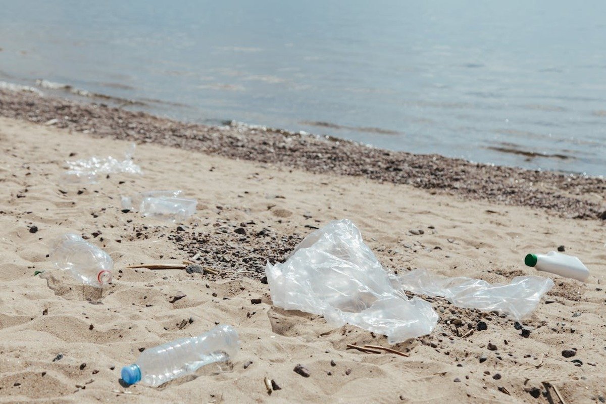 Plastica dei mari: una startup la trasforma in mattoni resistenti Plastica dei mari: una startup la trasforma in mattoni resistenti