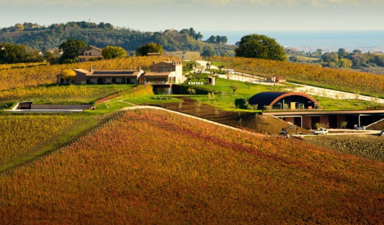 Cantina Filodivino: armonia tra architettura e natura Cantina Filodivino: armonia tra architettura e natura