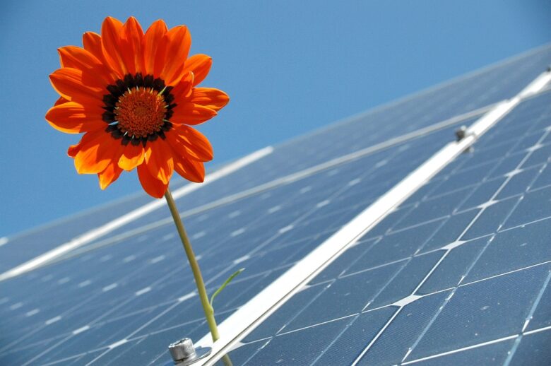 Smartflower produce elettricità seguendo il sole Smartflower produce elettricità seguendo il sole