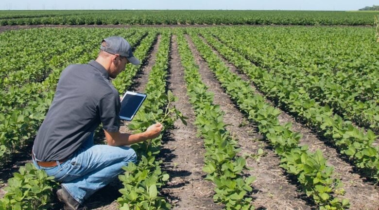 Impianto fotovoltaico su terreno agricolo: come fare, vantaggi, permessi Impianto fotovoltaico su terreno agricolo: come fare, vantaggi, permessi