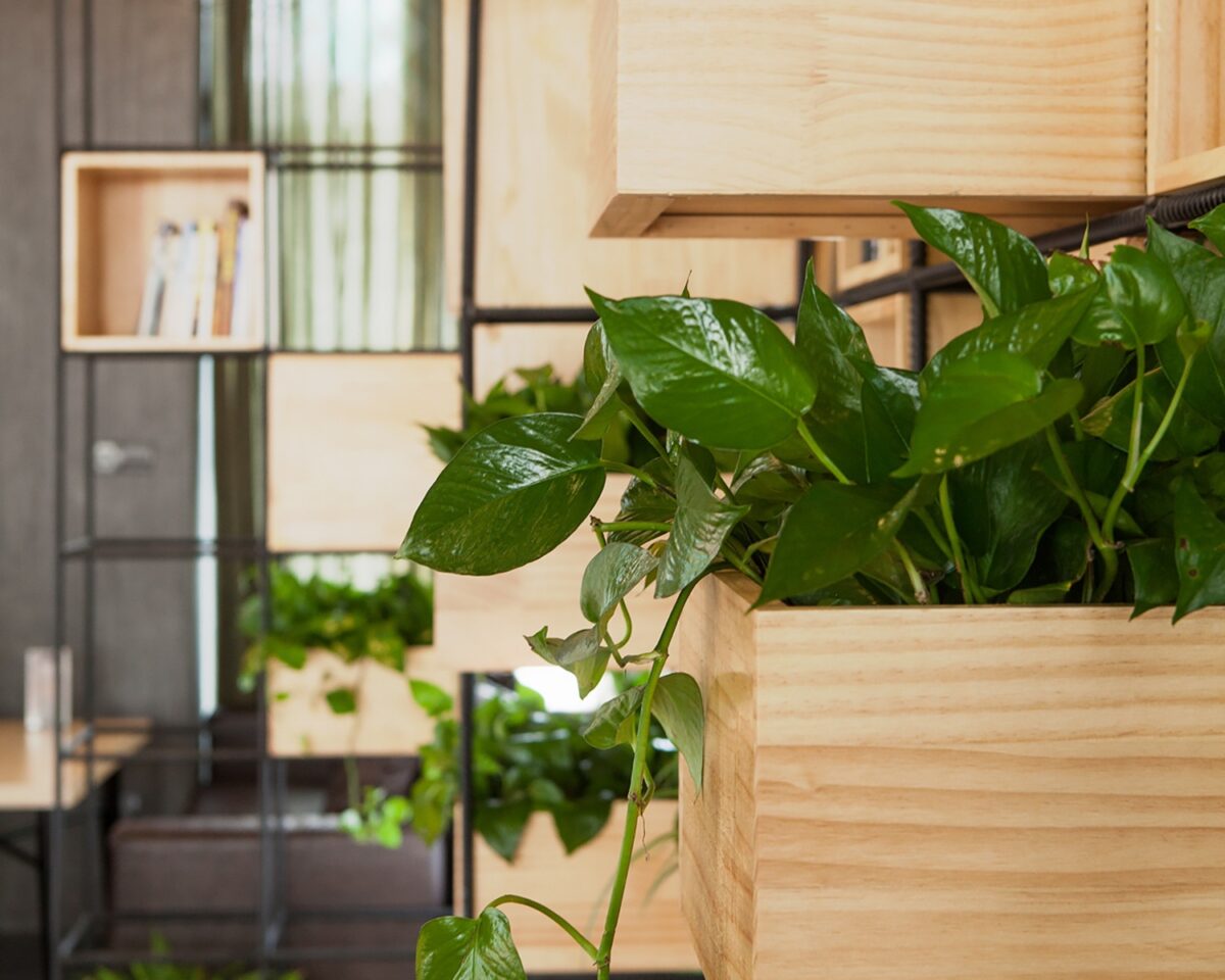 Fioriere da parete design moderno – AGGIORNAMENTO Fioriere da parete design moderno – AGGIORNAMENTO