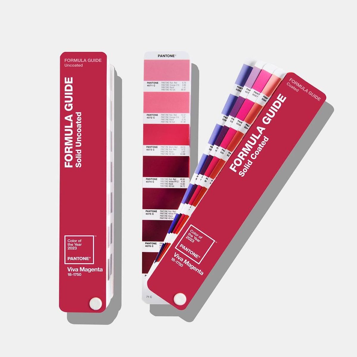 Palette colore Pantone 2023 Viva Magenta Palette colore Pantone 2023 Viva Magenta