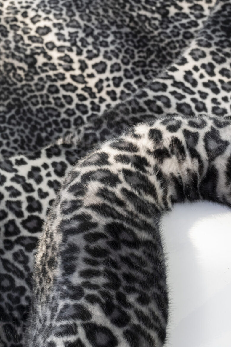 Archizoom Associati, Safari, sofa, Centro Studi Poltronova, photo Serena Eller 22