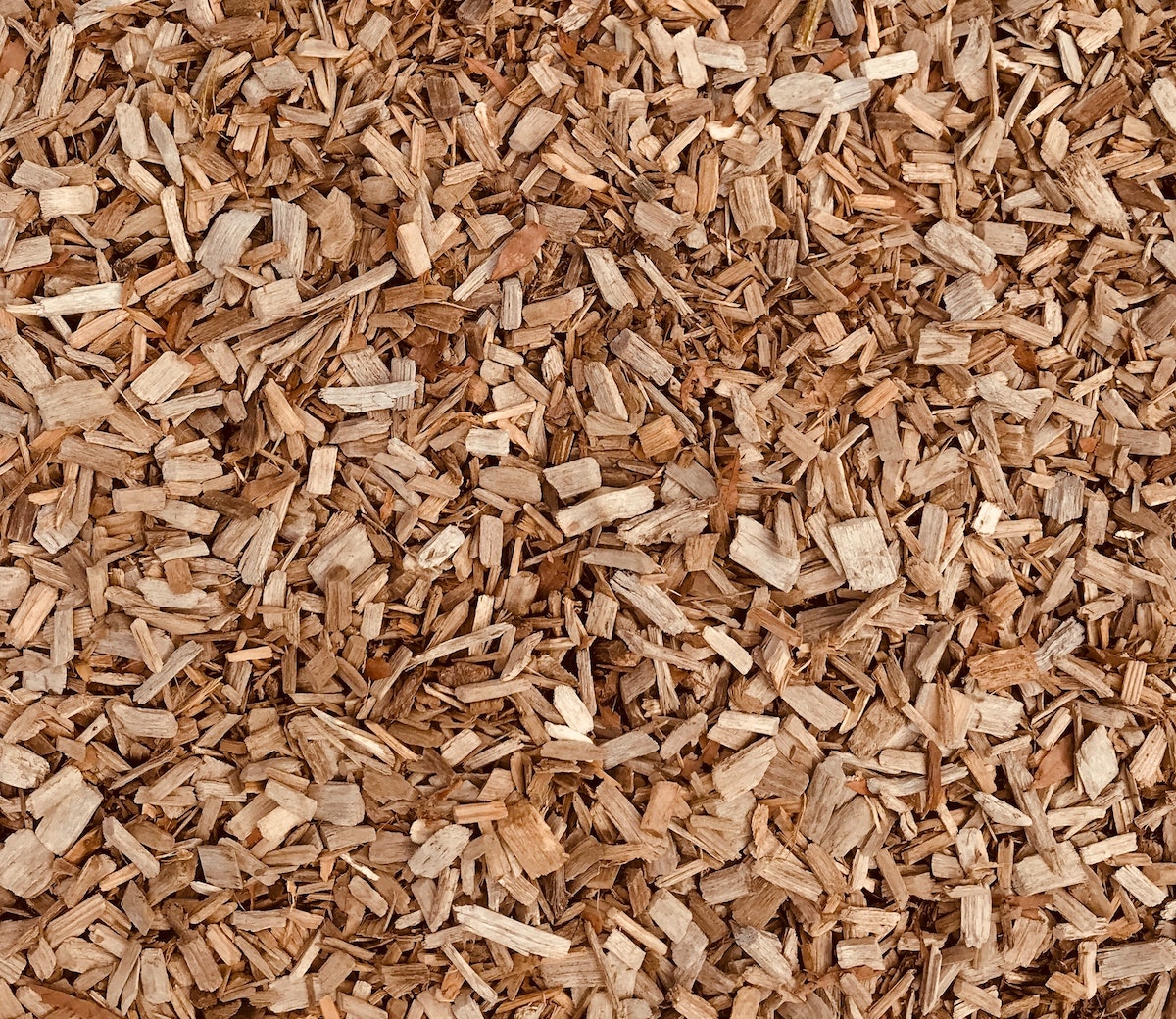 Arredamento ecosostenibile 2023 - Sughero Arredamento ecosostenibile 2023 - Sughero
