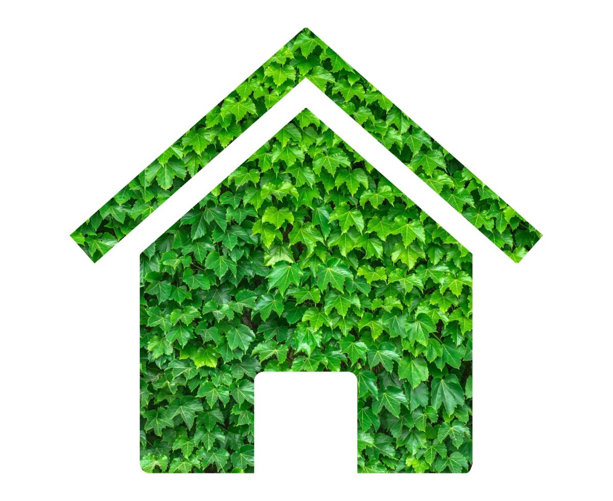 Casa green Casa green