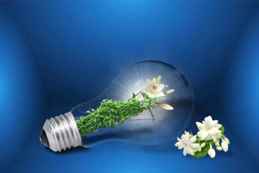 18 febbraio: Giornata Internazionale del Risparmio Energetico