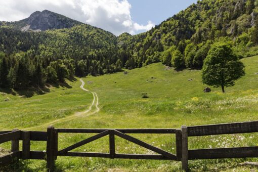Le 5 città più ecologiche e green d’Italia