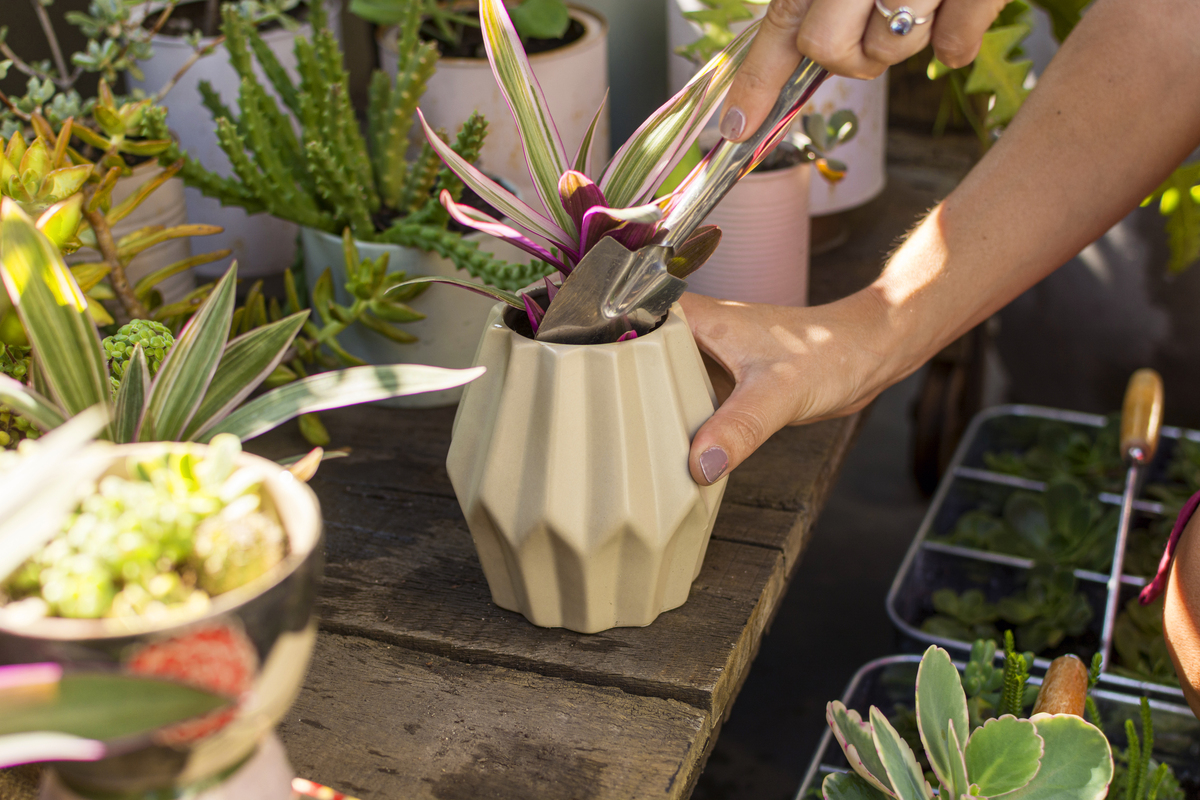 Ecosostenibilità e Outdoor: i 3 vasi green per il giardino del 2023 Ecosostenibilità e Outdoor: i 3 vasi green per il giardino del 2023
