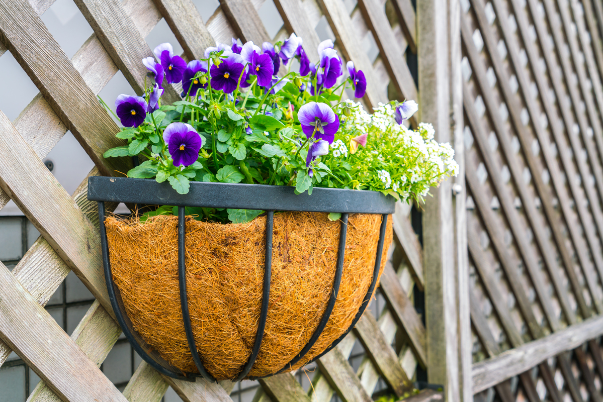 Ecosostenibilità e Outdoor: i 3 vasi green per il giardino del 2023 Ecosostenibilità e Outdoor: i 3 vasi green per il giardino del 2023