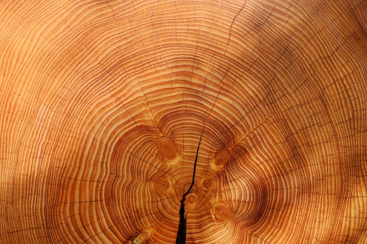 Particolare venature del legno
