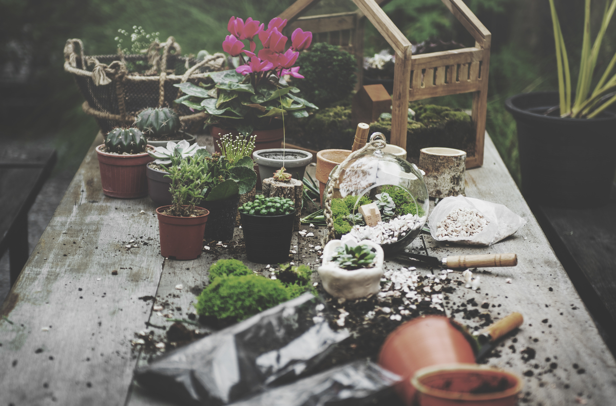 Ecosostenibilità e Outdoor: i 3 vasi green per il giardino del 2023 Ecosostenibilità e Outdoor: i 3 vasi green per il giardino del 2023