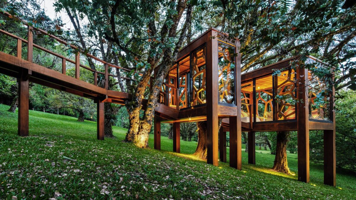 Panoramica esterna del Tree House. Panoramica esterna del Tree House.