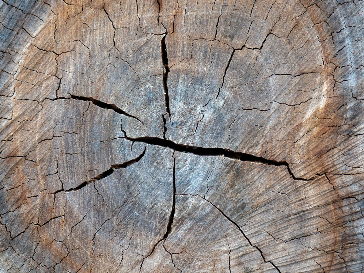 Legno Legno
