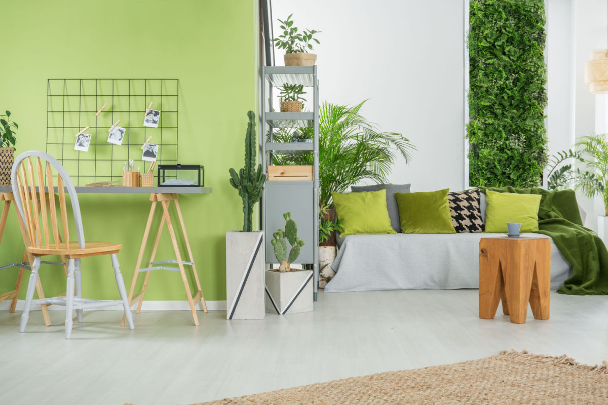 Zona living con pareti verde prato Zona living con pareti verde prato