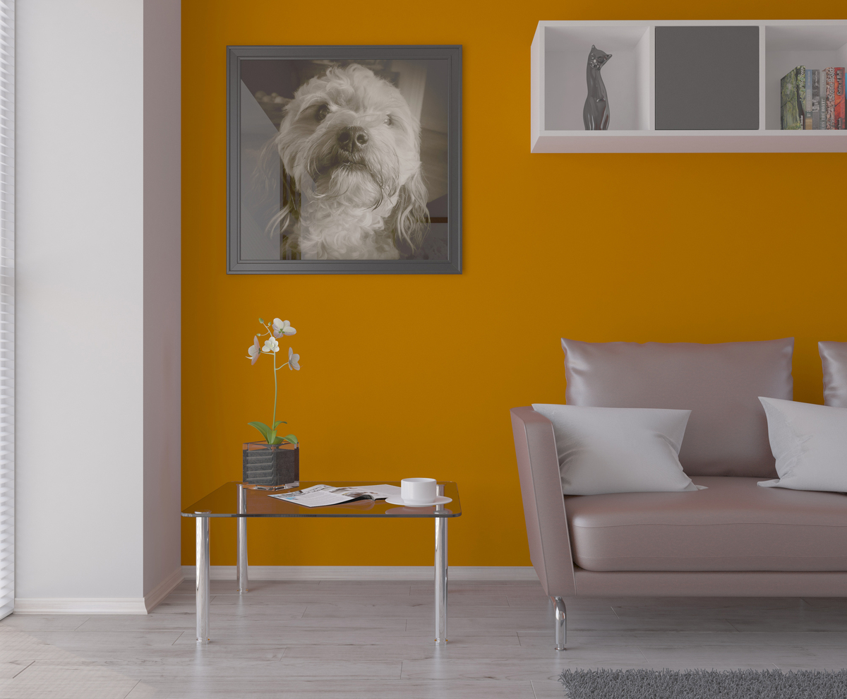 Alla scoperta del colore del mese: a giugno comanda il Sole Alla scoperta del colore del mese: a giugno comanda il Sole