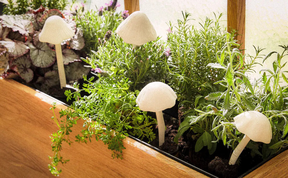 Zara Home giardinaggio: la nuova collezione dedicata all’hobby all’aperto Zara Home giardinaggio: la nuova collezione dedicata all’hobby all’aperto