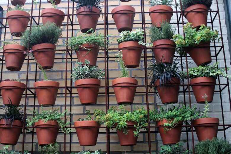 Balcone, Piante